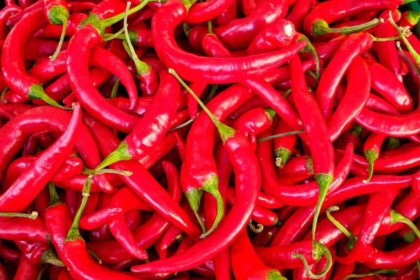 Health Benefits of Chili peppers - Dr Trouble Hot Sauce